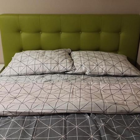 טימישוארה Cozy Home Bujorilor מראה חיצוני תמונה