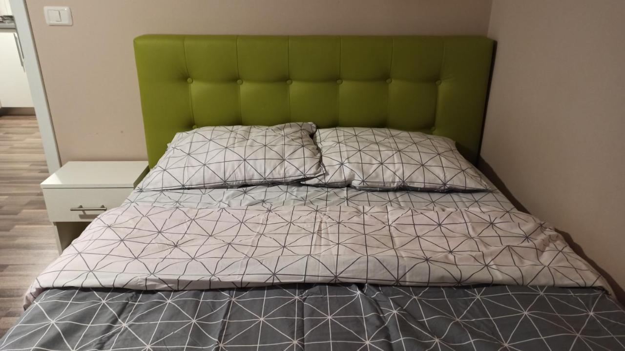 טימישוארה Cozy Home Bujorilor מראה חיצוני תמונה