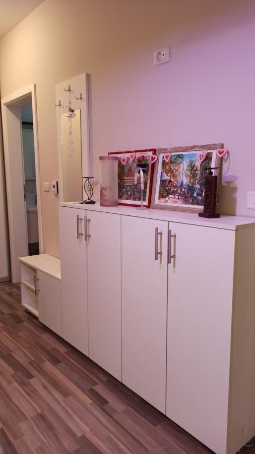 טימישוארה Cozy Home Bujorilor מראה חיצוני תמונה