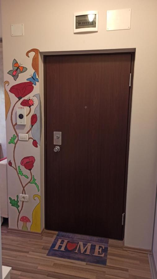 טימישוארה Cozy Home Bujorilor מראה חיצוני תמונה