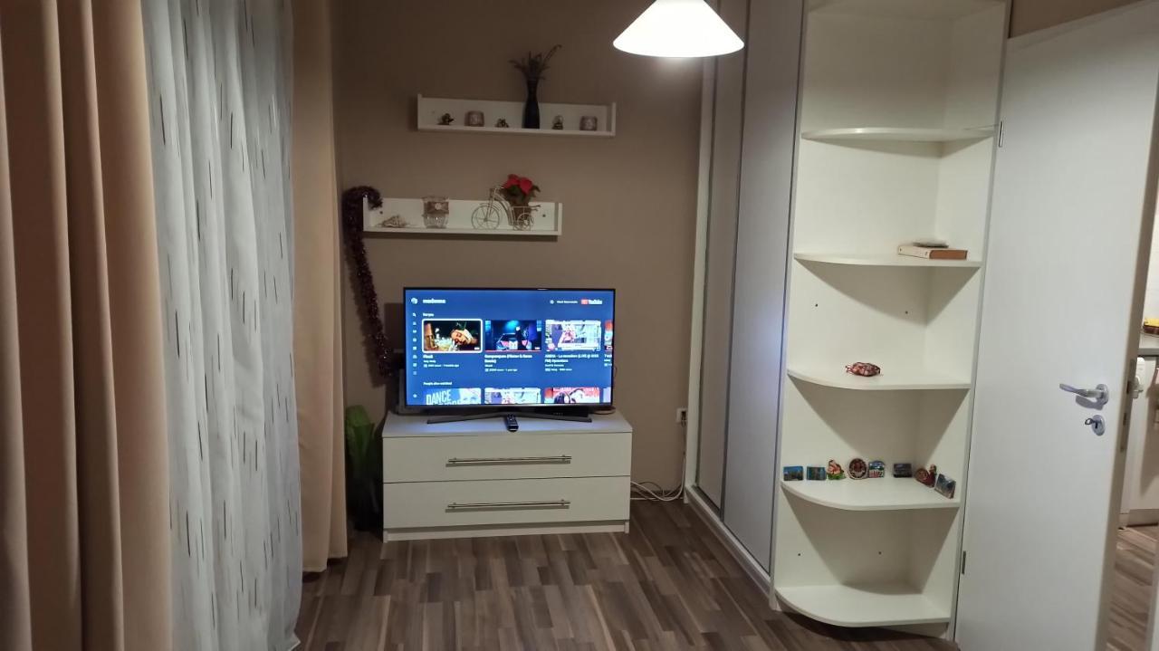 טימישוארה Cozy Home Bujorilor מראה חיצוני תמונה