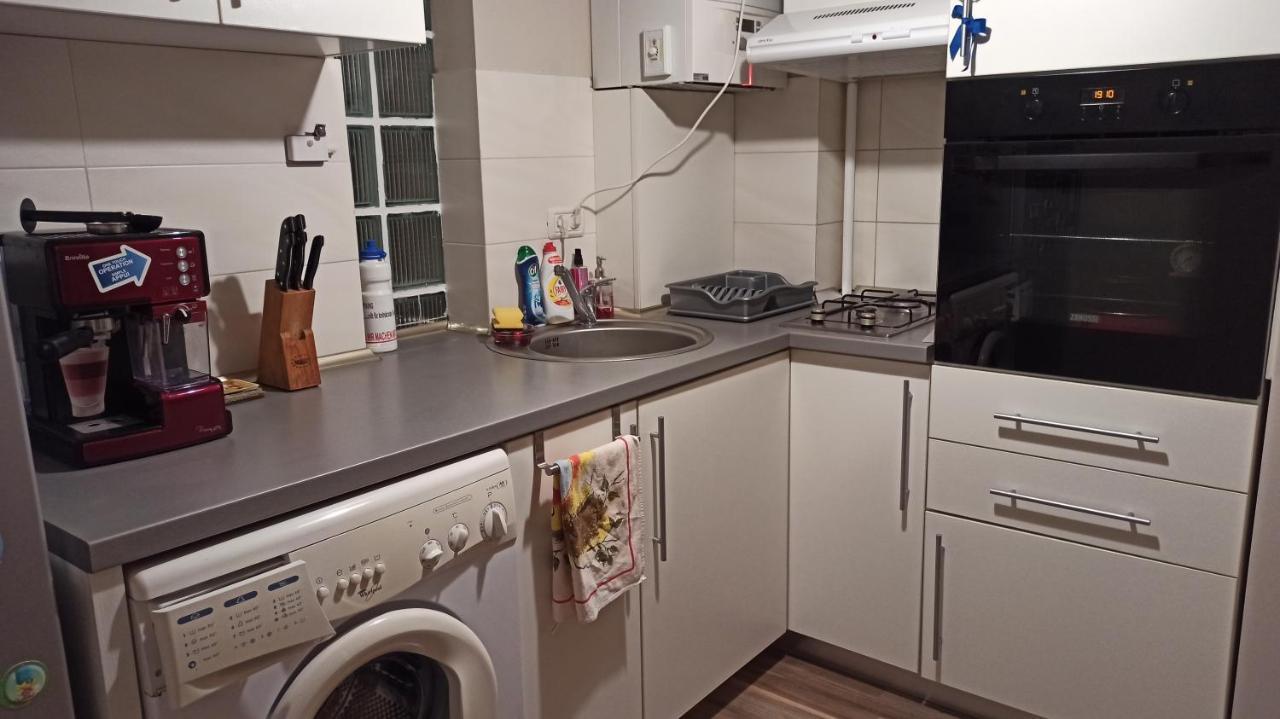 טימישוארה Cozy Home Bujorilor מראה חיצוני תמונה