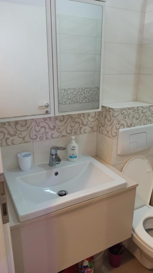 טימישוארה Cozy Home Bujorilor מראה חיצוני תמונה
