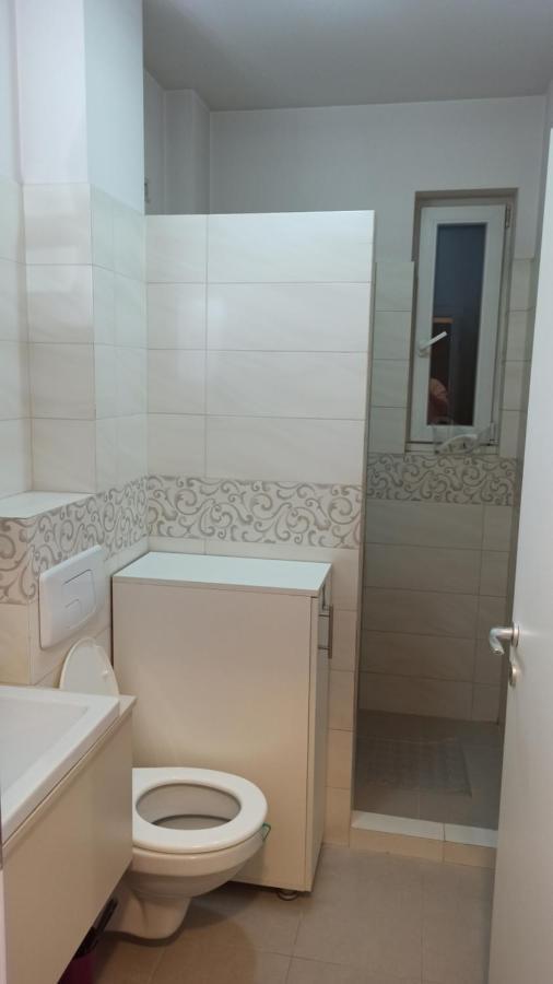 טימישוארה Cozy Home Bujorilor מראה חיצוני תמונה