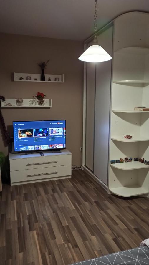 טימישוארה Cozy Home Bujorilor מראה חיצוני תמונה