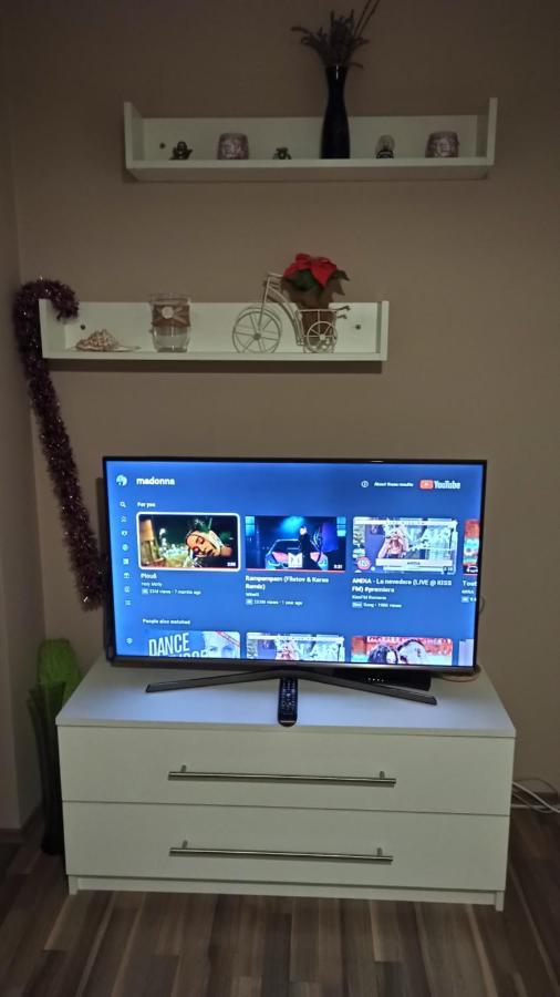 טימישוארה Cozy Home Bujorilor מראה חיצוני תמונה